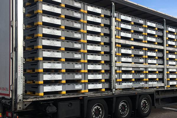 Plastic pallets for the materials handling industry being shipped to clients.